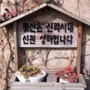 돌기와 토담집 이미지