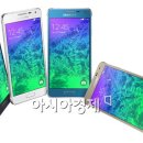 알파 - 안성시 대학3길 29 | 알파