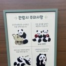 뿌빠노래타운 이미지