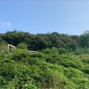 기안.당촌 이미지