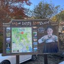 해태거리길 표지판 전봇대 | 경남 단풍 명소 하동 삼성궁 가볼만한곳