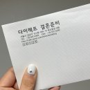 비비드애비뉴