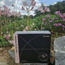 원PRO | JMW 드라이기 M5001A PLUS PRO 내돈내산 후기 6만9천원대
