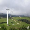 충만목장 이미지