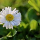 주사무소 이미지