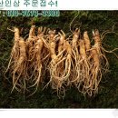 금산 활력의집 이미지
