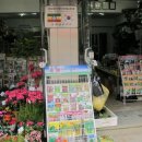 동부상사(시장) 이미지