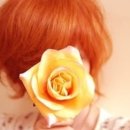 라 비 채 이미지