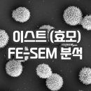 매치파인더