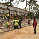 양진초등학교 이미지