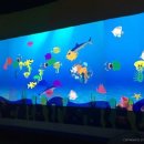 우리 가족 꿈의 수족관 이미지