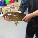 가자실내낚시터 이미지