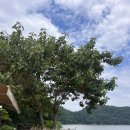 달뜨는바다 | 고성바다뷰카페 달뜨는 비오리 후기