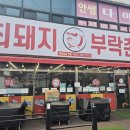최돼지부락촌