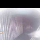 삼성클리닝 이미지