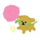 주식회사 국개대표 이미지