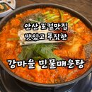 강마을매운탕 | 안산 맛집 술집 추천 &#34;강마을 민물매운탕&#34; 메기 매운탕 먹은 후기