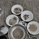 사랑한다면어탕국수공구상가점임수동 네이버블로그