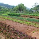 오케이한우목장 이미지