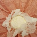 현 소프트 | 🧀 일본 마쓰야마 도고 온천 맛집 | 도고 밀크 치즈케이크 🍊 딸기우유와 귤 소프트 아이스크림 후기