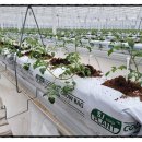 에스제이비 이미지