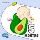 산성갈비탕(남한산성갈비탕) | 임신 중기 피비침 출혈 전치태반 질염 증상 15주 16주 초음파