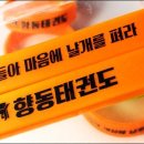 KTI향동태권도장 이미지