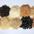 정가네농장 이미지