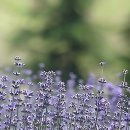 강북제일한의원 이미지