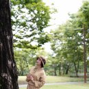 강진사