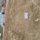 홍구농장 이미지