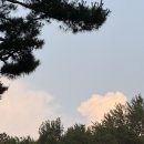 울엄니김밥 | 안녕했나들....?