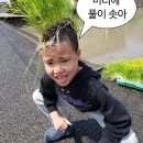 알라메다