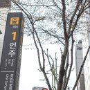 우창 약국 | 강력추천하는 강남 마카롱 맛집 끌레르봉봉 :: 선물하기도 딱 좋아