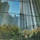 동원더샵부동산중개사무소 이미지