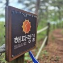 경북영덕 해파랑길 22코스 길위에서~ 이미지