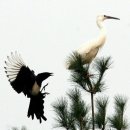 까치공원 앞 이미지