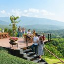 한스테이 이미지