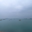 금호방조제 ~ 금호교차로 Daum카페