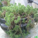 송정하우스 이미지