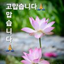 ♤😃 😇 😃♤ .. ♧천국 같은 노후를 사는 비결♧ 이미지