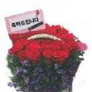 Re: 6월13일(토)천반산+육지의 섬 (1700총대장님 취임식) 이미지
