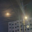 지에스(GS 25) 산호대로 이미지