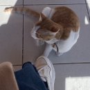 대경카마스타 이미지