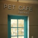 펫 포포즈 이미지