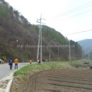 고림사 - 1232 | 고림사