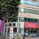 씨유 신천상공회의소점 | 대구 신천동 맛집 동대구역 술집 밤새우는닭 신천점 대구 닭구이가 맛있는 회식장소 후기