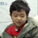 폴라베어 이미지