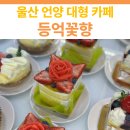 울산 언양 대형 베이커리 카페 | 등억꽃향 후기