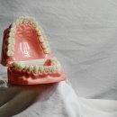 드라큘라치과의원 이미지